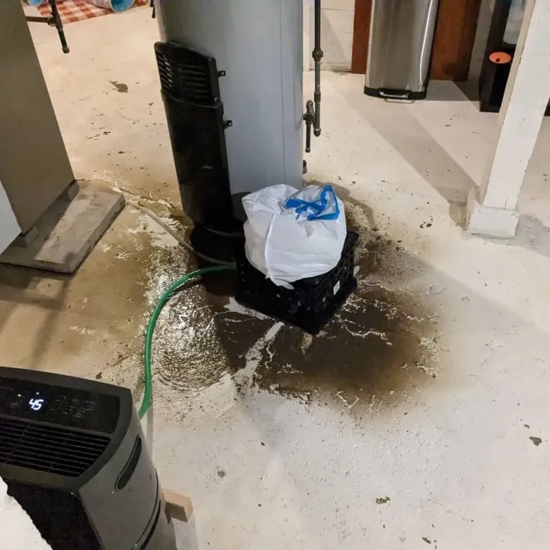 Sewage Backup Cleanup Service in Carpinteria, CA